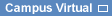 Campus Virtual de formacion por elearning, e-learning