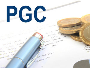 CONTABILIDAD BASICA ADAPTADA AL NUEVO PGC