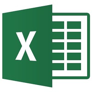 EXCEL XP