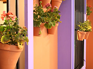 GESTI�N DE TURISMO RURAL