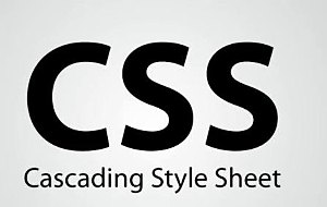 HOJAS DE ESTILOS CSS