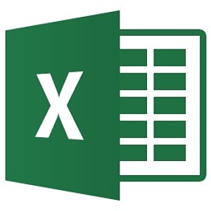 MS EXCEL 2000