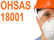 CURSO DE OHSAS 18001: UTILIDAD Y APLICACION EN SALUD Y SEGURIDAD LABORAL