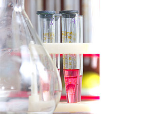 TECNICAS DE ANALISIS BIOQUIMICO