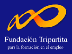 Suvenciones de la Fundacion Tripartita para la formacion en el empleo