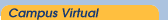 campus virtual de formacion por e-learning via internet